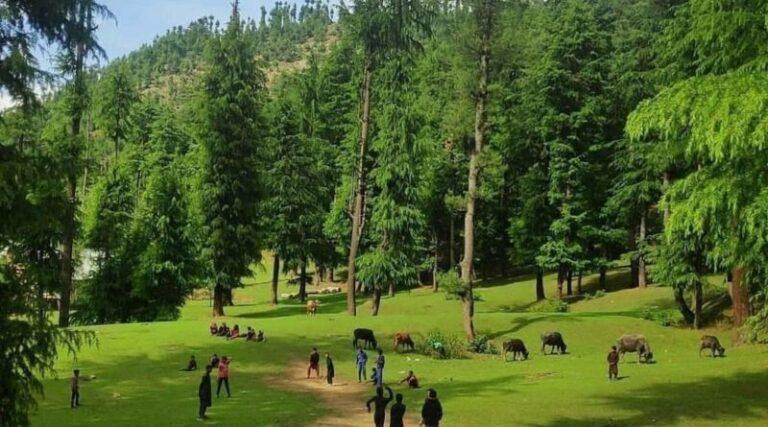 Mainly clear weather likely in Jammu and Kashmir: MeT