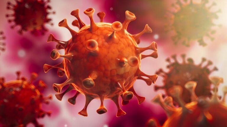 Active Covid cases decline to 36,126