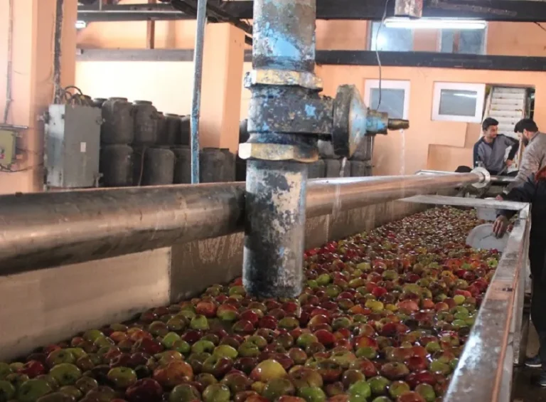 Govt sets ball rolling for outsourcing apple juice plant of JKHPMC