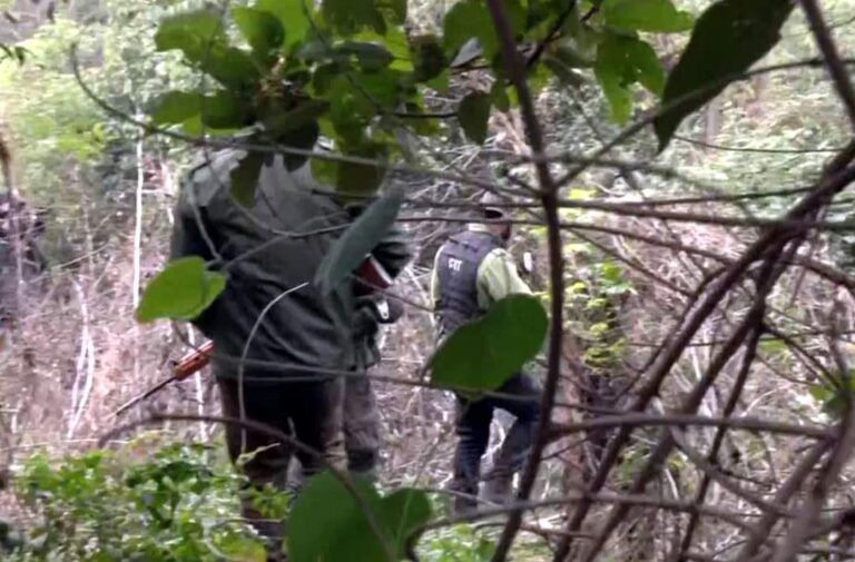 Search operation intensified to trace truck driver who escaped before encounter in Jammu