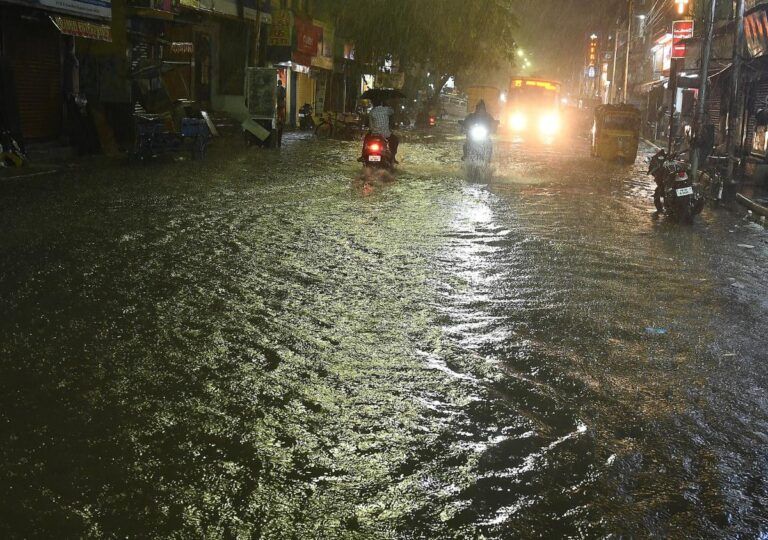 Cyclone Mandous triggers heavy rainfall in TN: Chennai roads waterlogged, trees uprooted