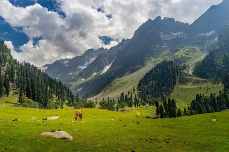 Clear Sky, Bright Sunshine In Jammu, Partly Cloudy Sky In Kashmir: MeT