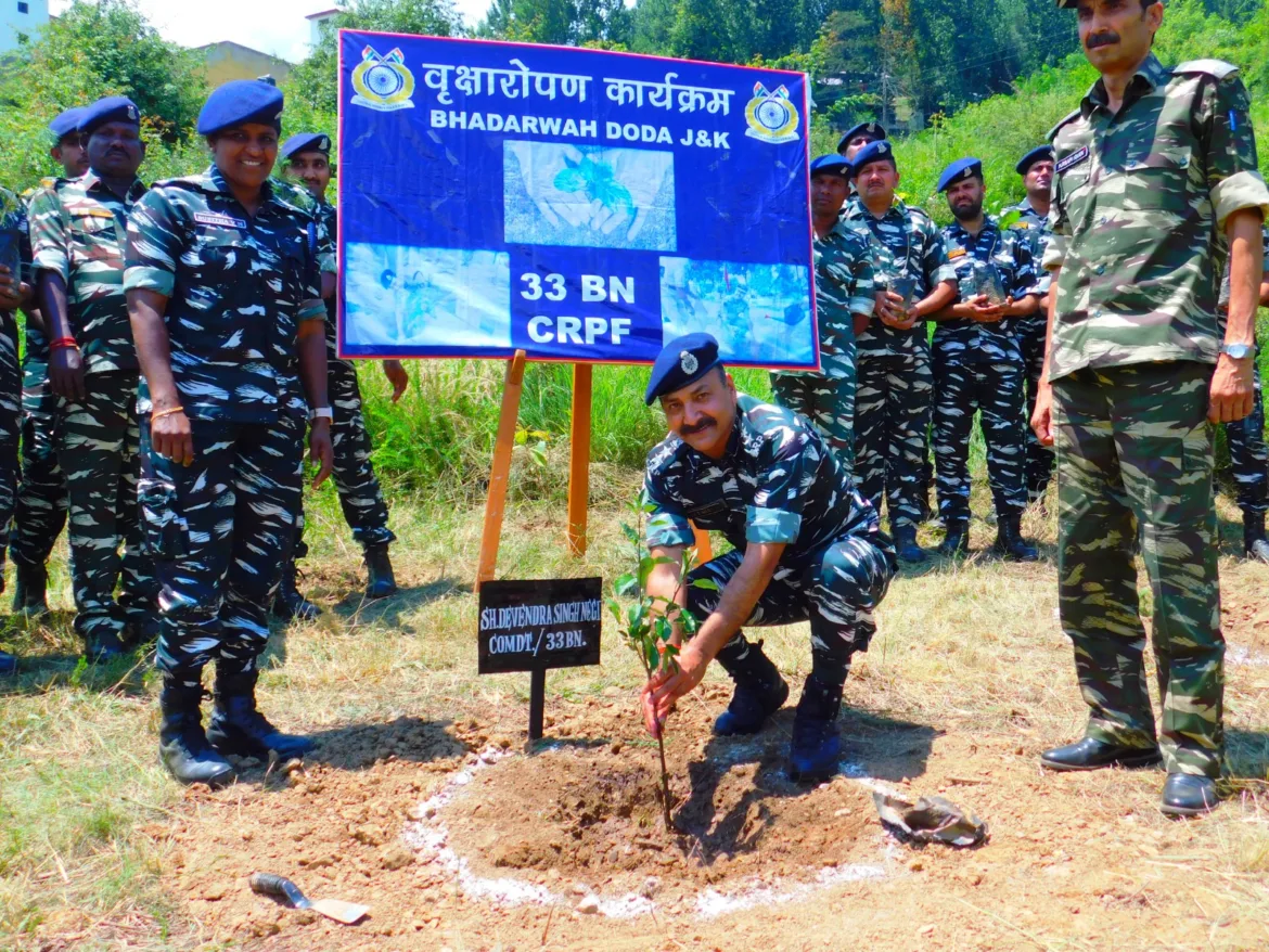 1991df86-65cb-4e61-b893-3591fbe59556