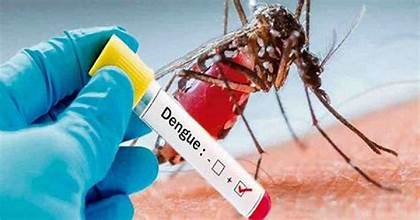 J&K’s Doda Reports 52 Dengue Cases, Civic Bodies Intensify Preventive Measures
