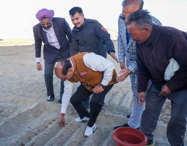 Saffron Cultivation Begins In Ladakh